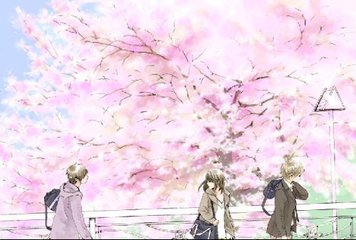 雏鸟app官方网站